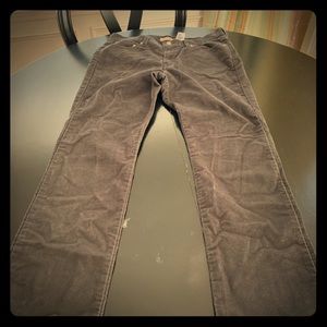 Levi Strauss & CO. Gray Corduroy Pants